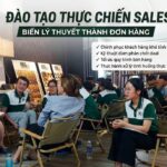 Vua bán hàng thực chiến - sale phát triển doanh nghiệp